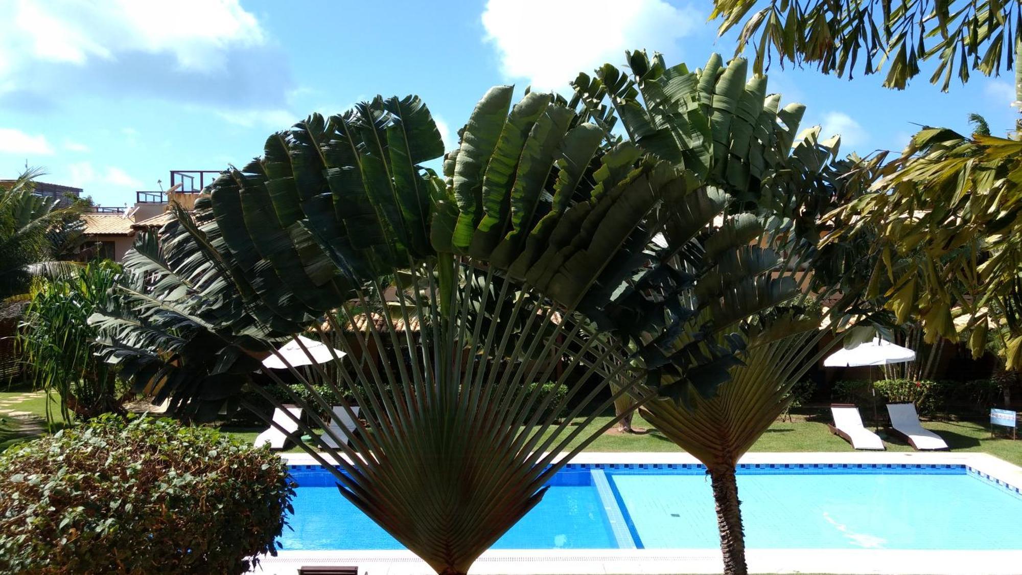 Unidades Vilas Triplex No Pipa Beleza Praia de Pipa Ngoại thất bức ảnh